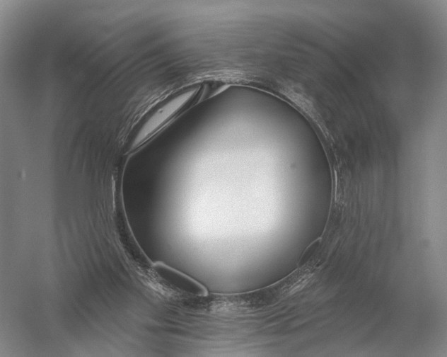 X0000056310109200509231931