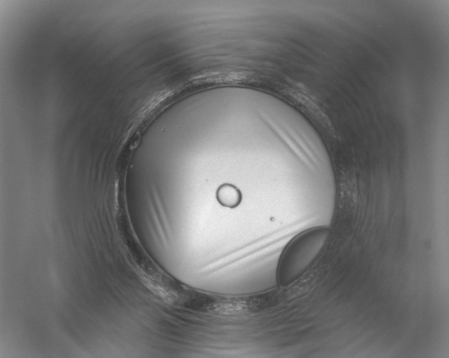 X0000056310110200509231931