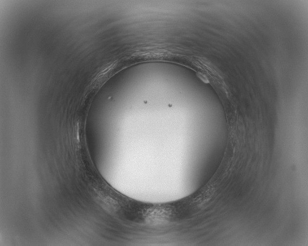 X0000056310115200509231931