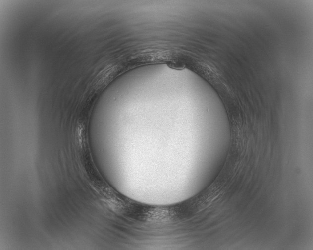 X0000056310123200509231930