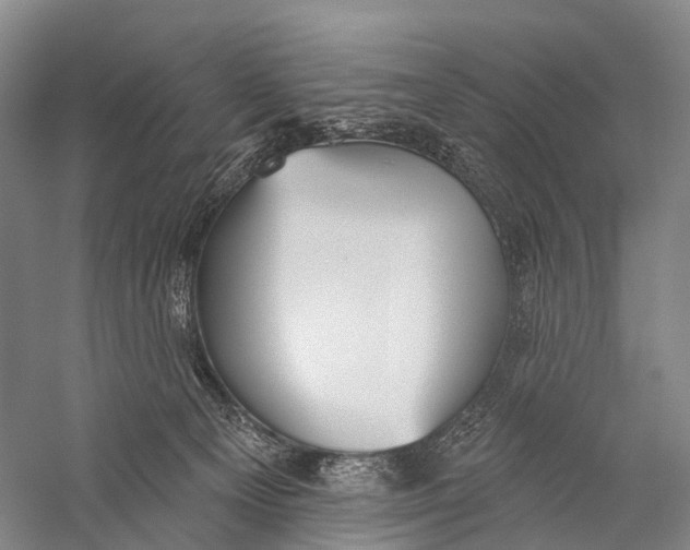 X0000056310129200509231930