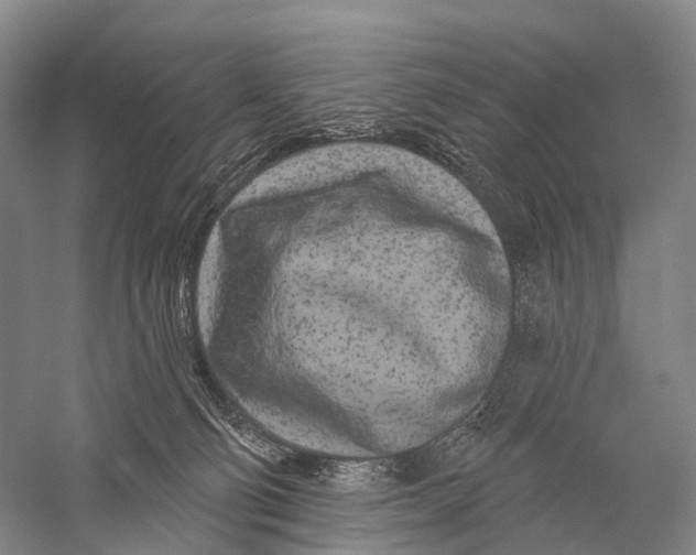 X0000056310130200509231930