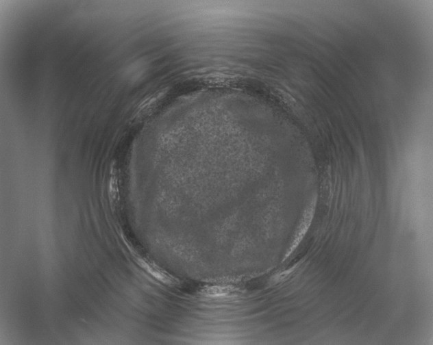 X0000056310137200509231930