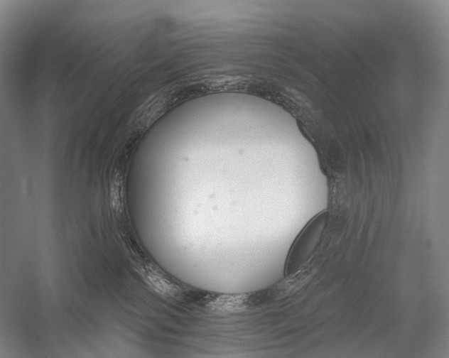 X0000056310138200509231930