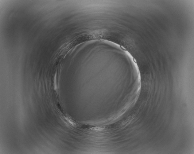 X0000056310139200509231930