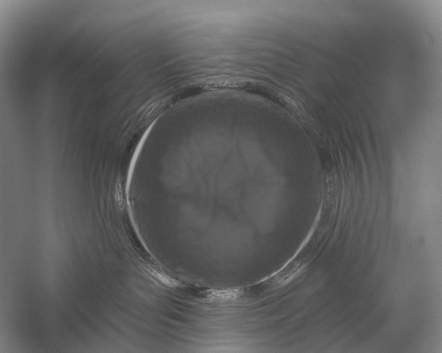 X0000056310143200509231930