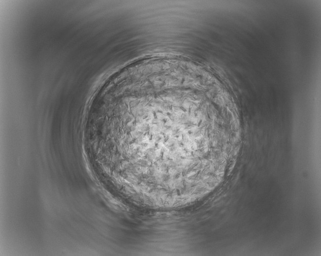 X0000056310145200509231929