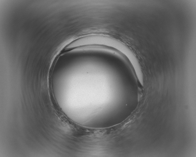 X0000056310148200509231929