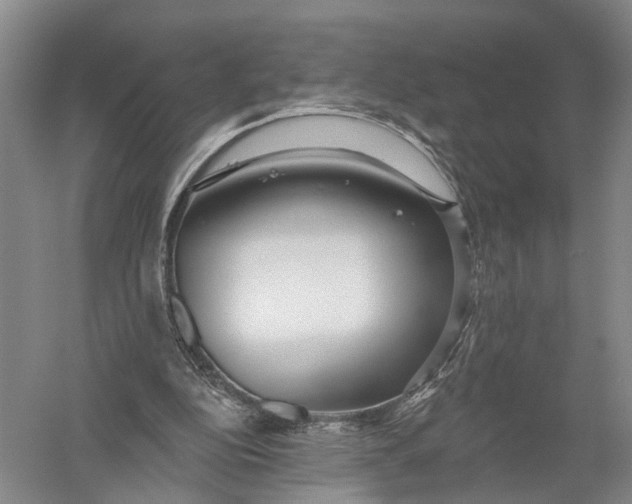 X0000056310152200509231929