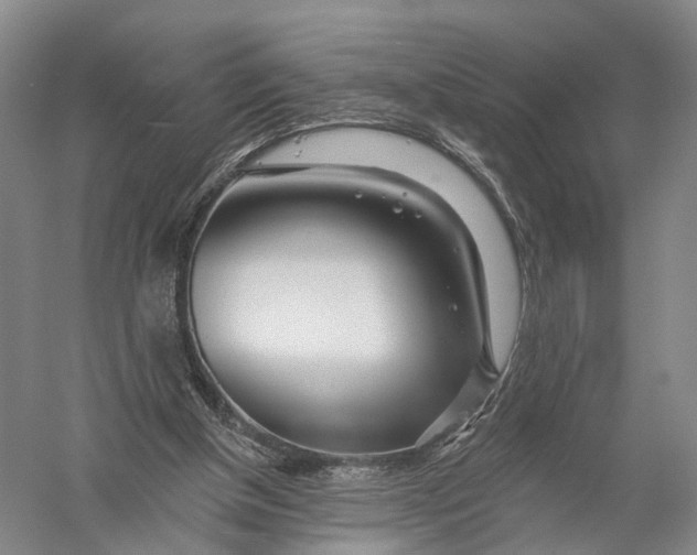 X0000056310154200509231929