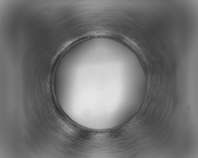 X0000056310155200509231929