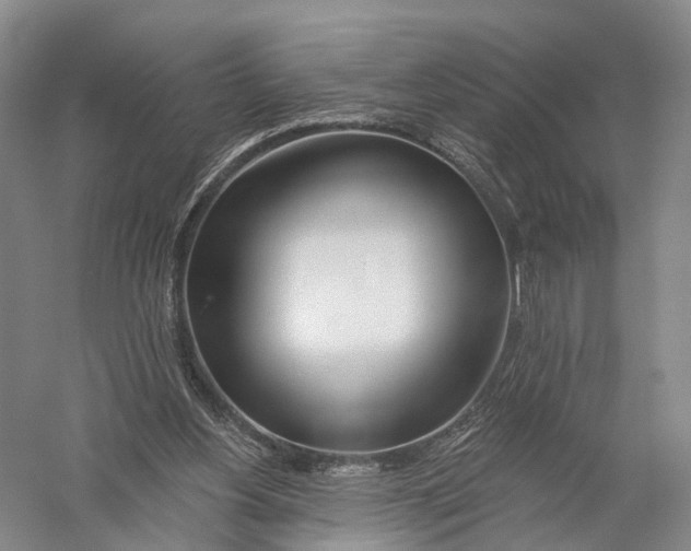 X0000056310156200509231929
