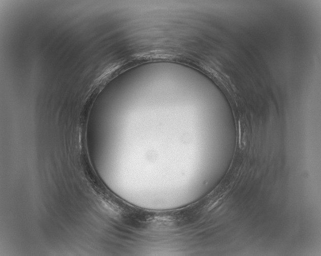 X0000056310157200509231929
