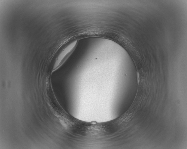 X0000056310164200509231930