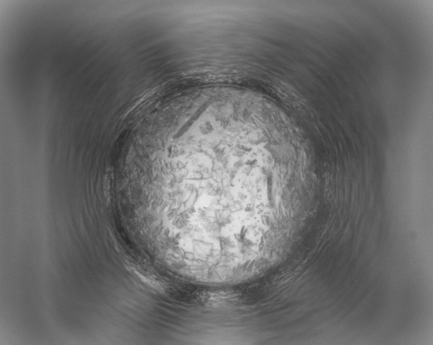 X0000056310165200509231930