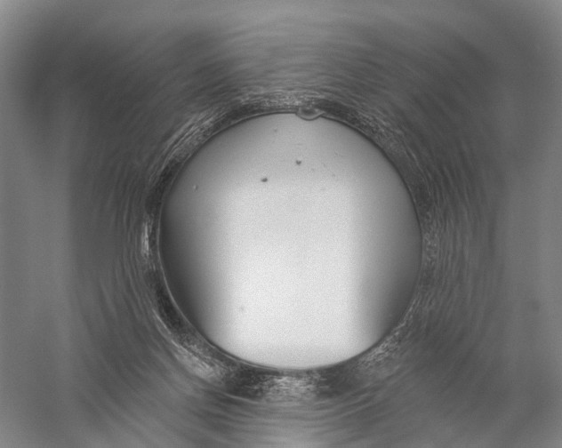 X0000056310166200509231930