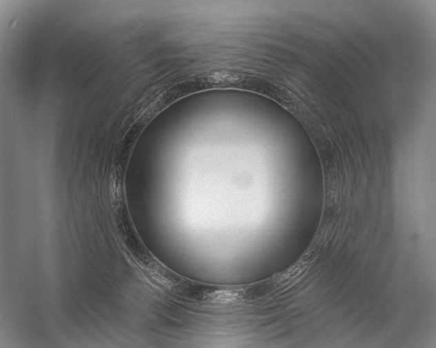 X0000056310176200509231930