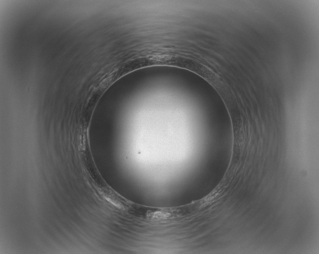 X0000056310180200509231930