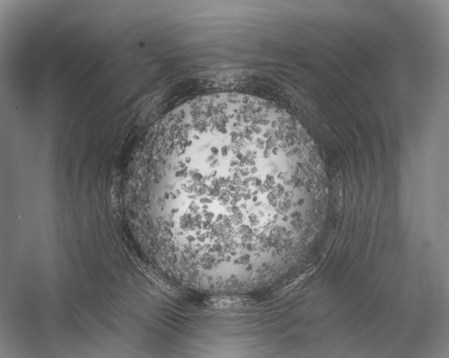 X0000056310181200509231930