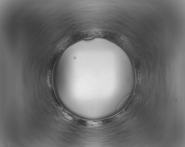 X0000056310185200509231930