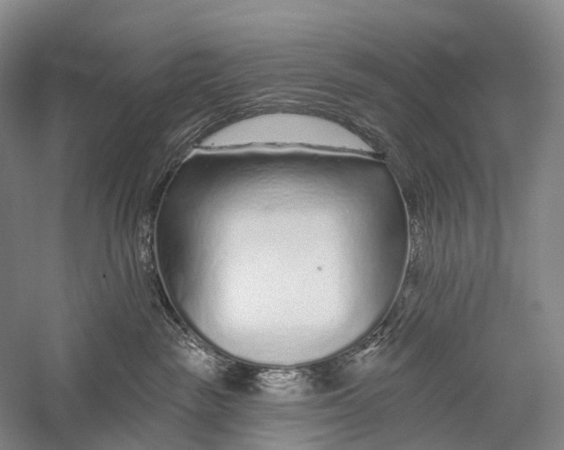 X0000056310189200509231930