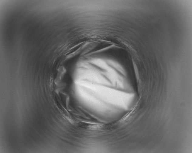 X0000056310192200509231930