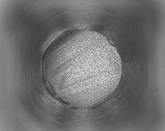 X0000056310194200509231929