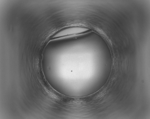 X0000056310201200509231929