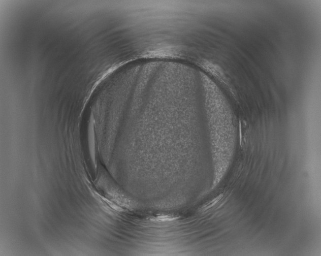 X0000056310204200509231929
