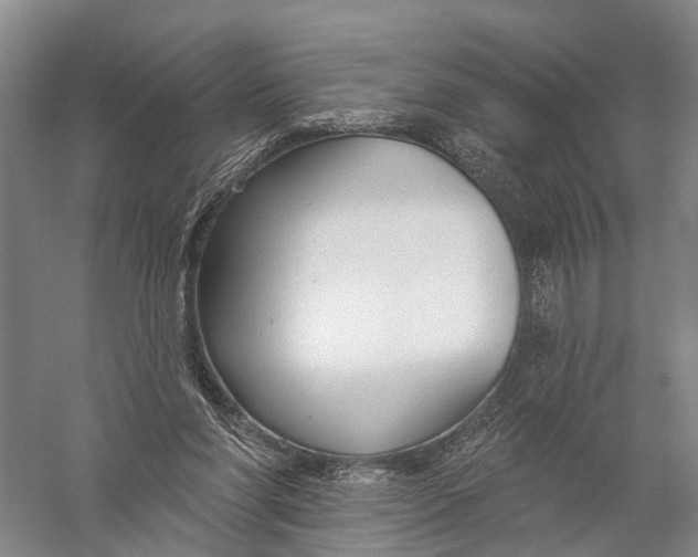 X0000056310206200509231929