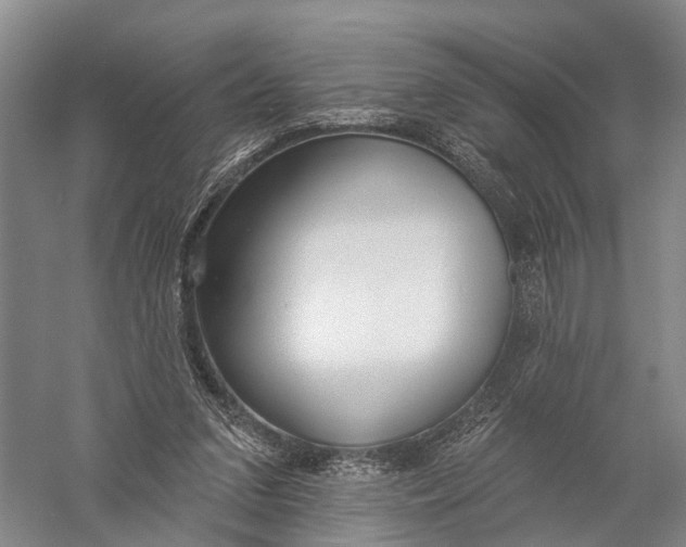 X0000056310207200509231929