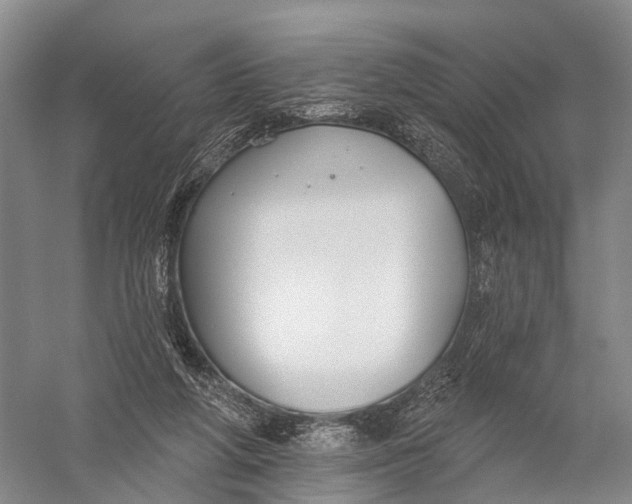 X0000056310210200509231929