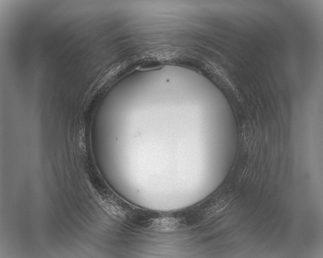 X0000056310212200509231929