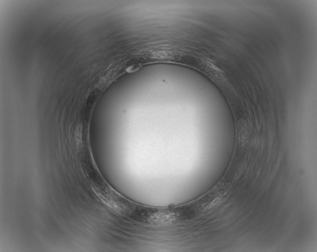 X0000056310213200509231929