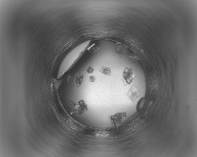 X0000056310214200509231929