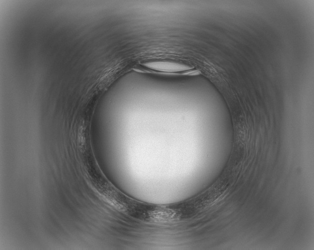 X0000056310215200509231929