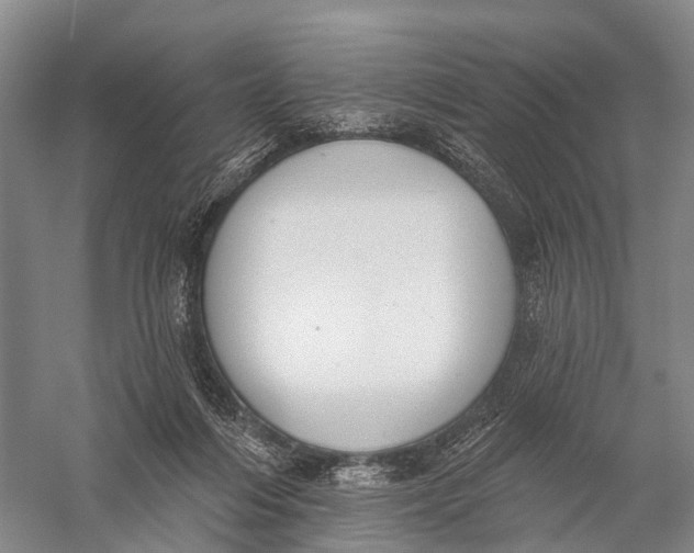 X0000056310216200509231929