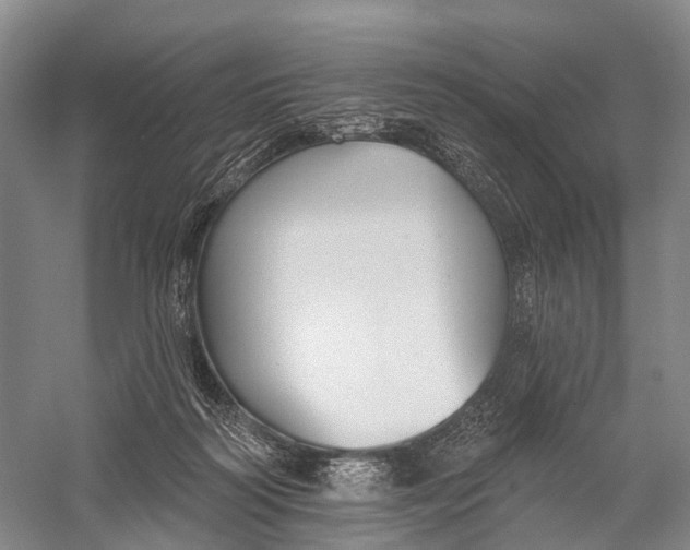 X0000056310218200509231929