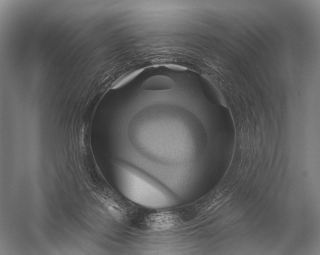 X0000056310219200509231929
