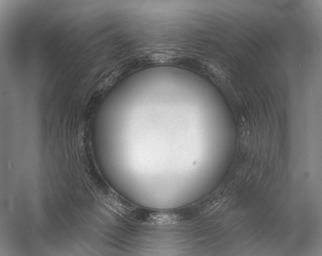 X0000056310221200509231929