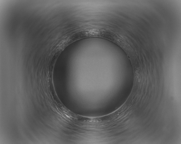 X0000056310223200509231929