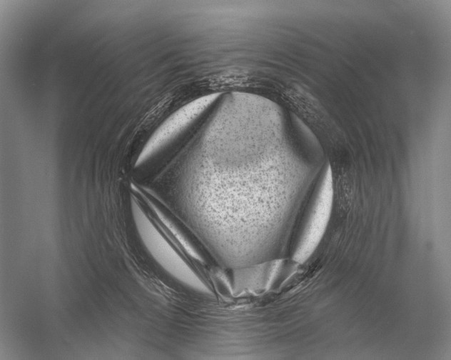 X0000056310224200509231929