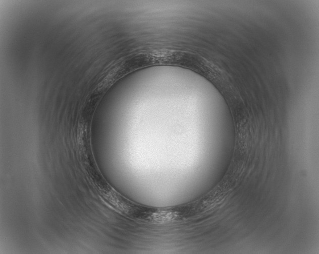 X0000056310225200509231929