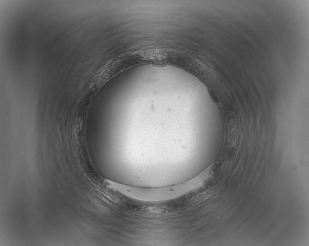 X0000056310229200509231929