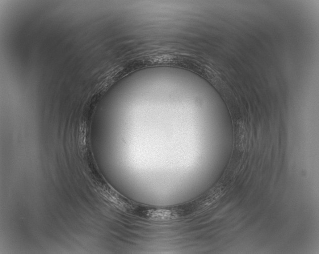 X0000056310230200509231929