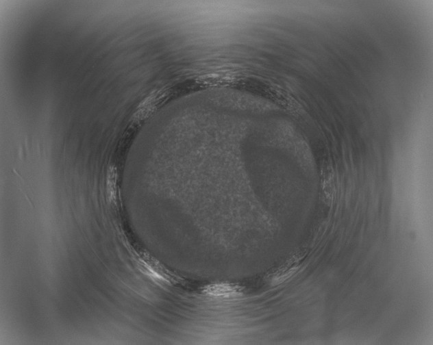 X0000056310231200509231929