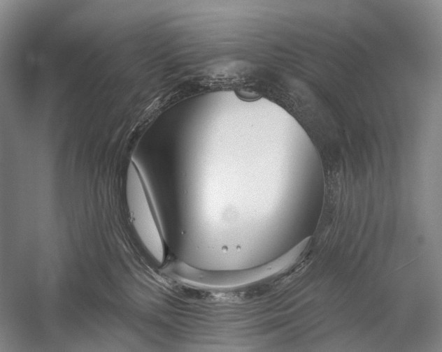 X0000056310232200509231929