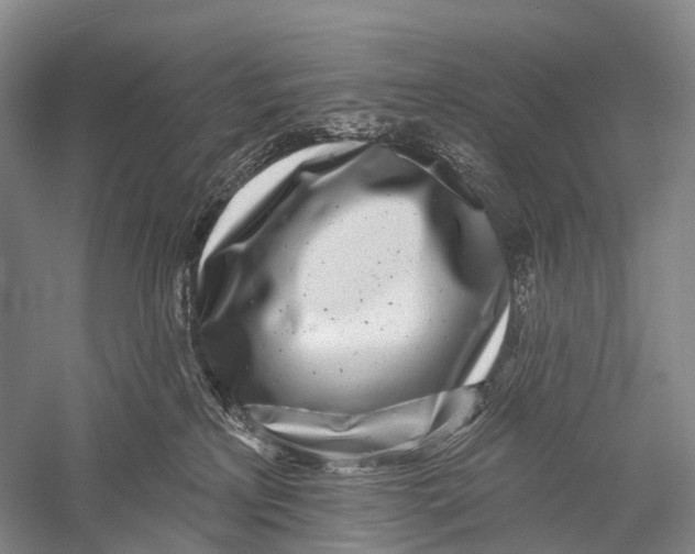 X0000056310233200509231929