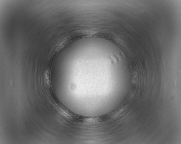X0000056310238200509231928