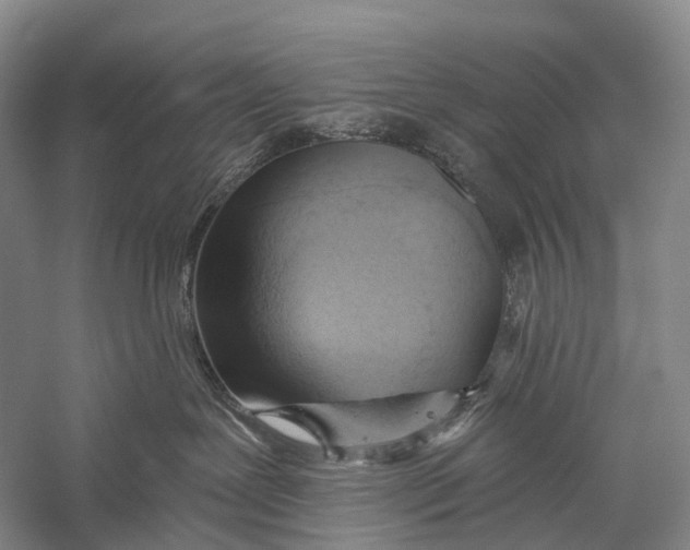 X0000056310239200509231928